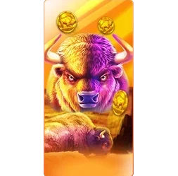 Buffalo
King